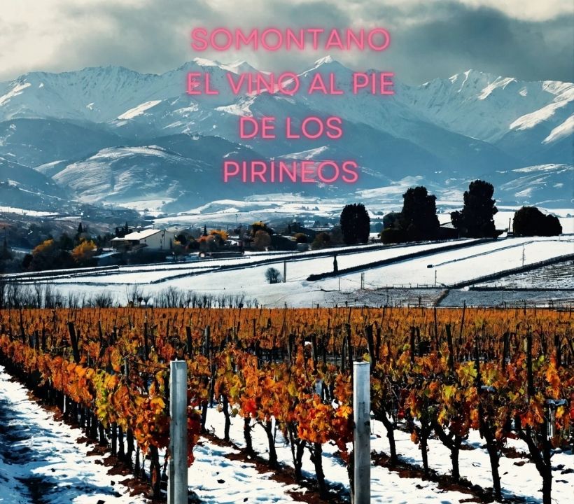 Bodegas del Somontano| El Vino al pie del Pirineo